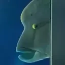 FishWeirdLeave emote for Discord