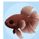 Fishity emote for Discord