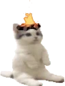 firecampies emote for Discord