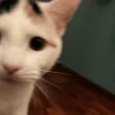 figKISS emote for Discord