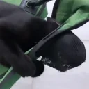 fightingdemons emote for Discord