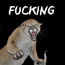 finSteve emote for Discord