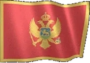 flagMontenegro emote for Discord