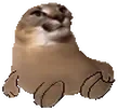 FloppaJAMsit emote for Discord