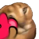 FloppaL emote for Discord