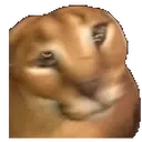FLOPPA emote for Discord
