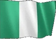 flagNigeria emote for Discord