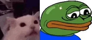 Flashbaldge emote for Discord