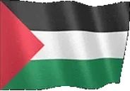 flagPalestine emote for Discord