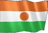 flagNiger emote for Discord