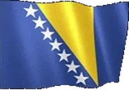flagBosniaHerzegovina emote for Discord
