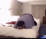 FlatsTwerk emote for Discord