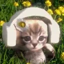 flowerBop emote for Discord