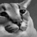 FLOPPACHAD emote for Discord