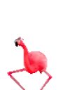 FlamingoDance emote for Discord