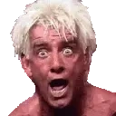 FlairWoo emote for Discord