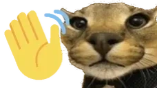 floppaWave emote for Discord