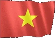 flagVietnam emote for Discord