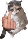 fku2 emote for Discord