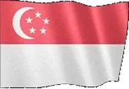 flagSingapore emote for Discord