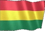 flagBolivia emote for Discord
