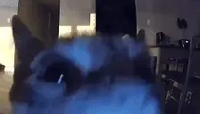 FLASHBANG emote for Discord