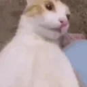 flabbergasted emote for Discord