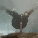 FLAPPIES emote for Discord