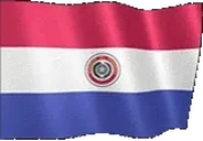 flagParaguay emote for Discord