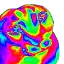 FloppaLSD emote for Discord