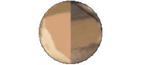 FloppaPlanet emote for Discord