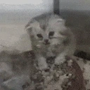 Flashback emote for Discord