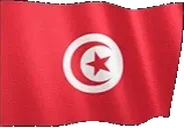 flagTunisia emote for Discord