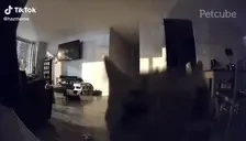 Flash emote for Discord