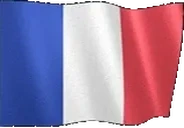 flagFrance emote for Discord
