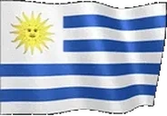 flagUruguay emote for Discord