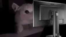 FLASHBANG emote for Discord