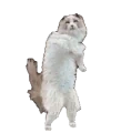 fluffy emote for Discord