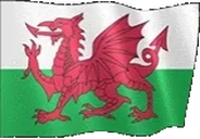 flagWales emote for Discord