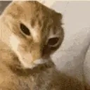 flabbergasted emote for Discord