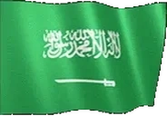flagSaudiArabia emote for Discord