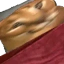 floppabed emote for Discord