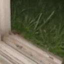 flatsTouchGrass emote for Discord