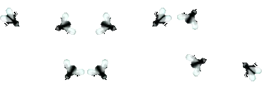 fly0 emote for Discord