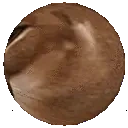 Floppa emote for Discord