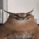 Floppa emote for Discord