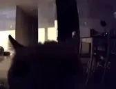 Flashbang emote for Discord