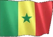 flagSenegal emote for Discord