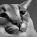 FLOPPACHAD emote for Discord