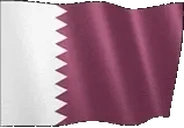 flagQatar emote for Discord